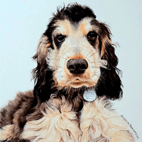 Karen Frampton, New Forest Artist, paintings, greeting cards, murals, slate, Hampshire, UK